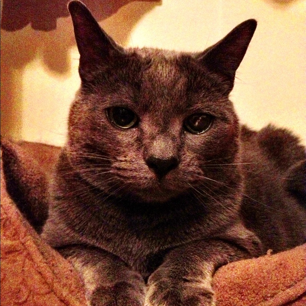 Highly Rated Posher 🥳